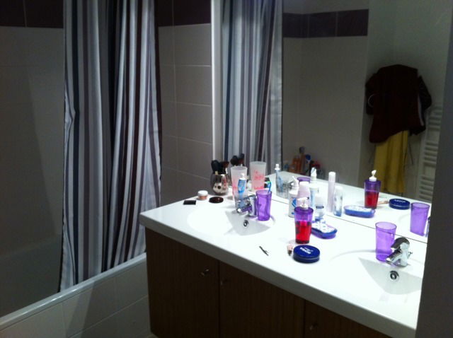 Colocatie Toulouse 22135