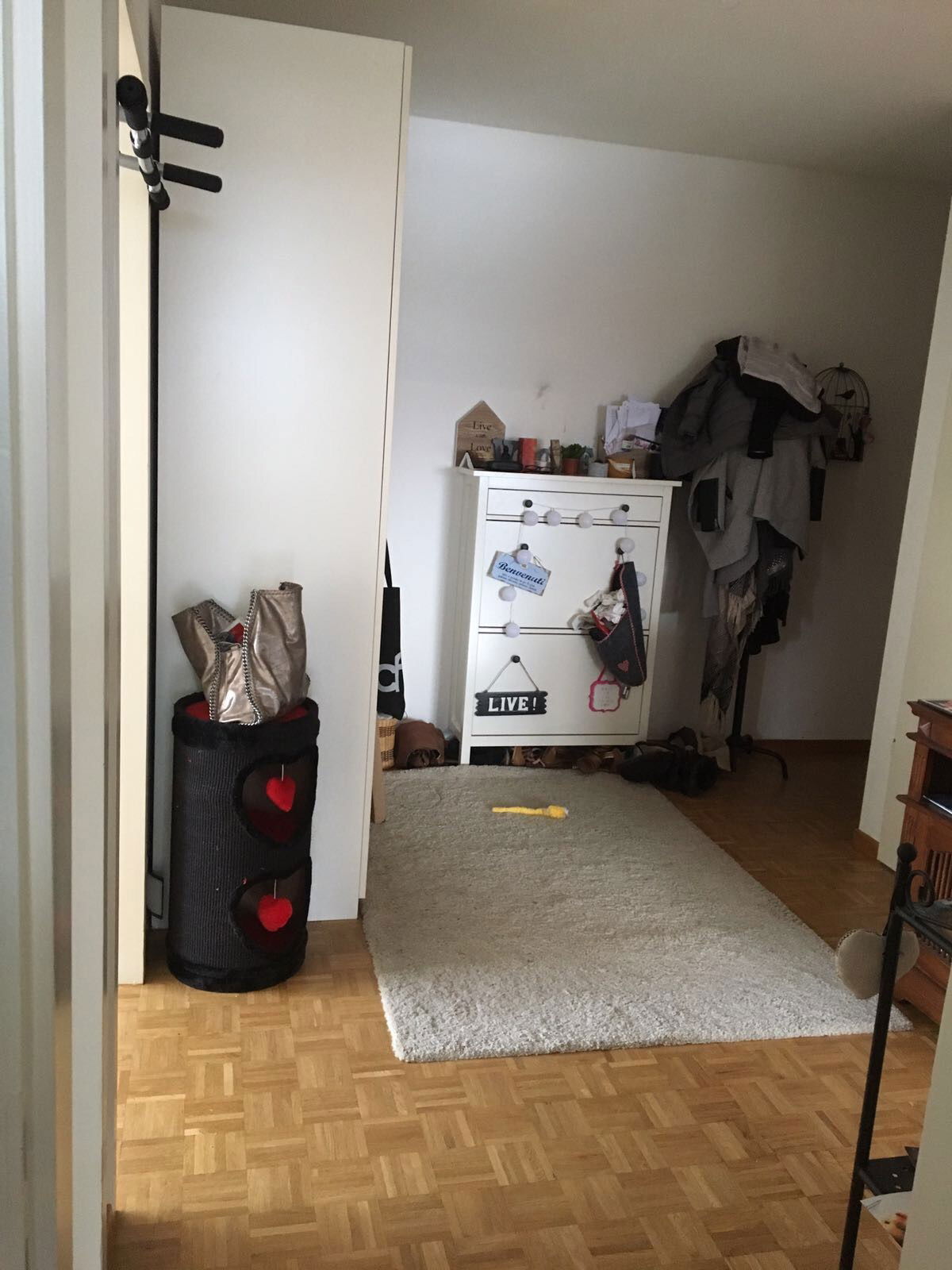 Colocatie Thônex 155272