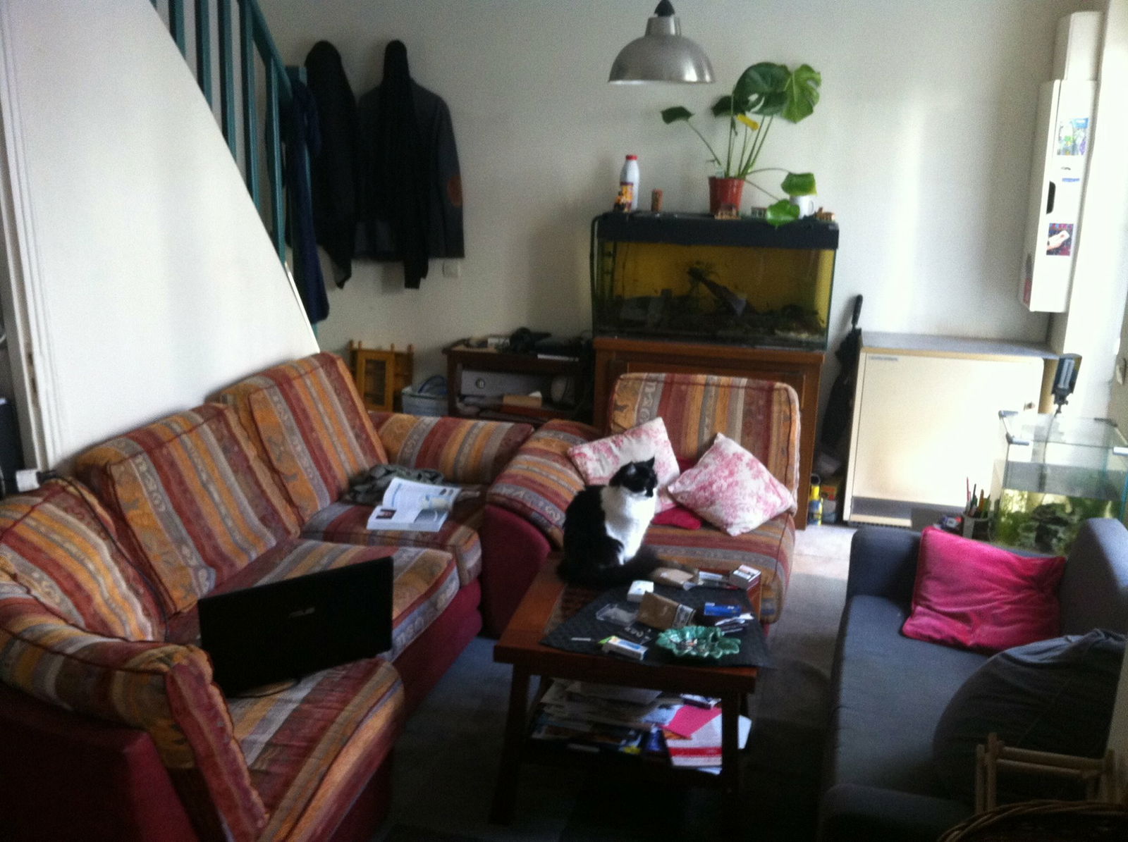 Colocatie Alfortville 126497