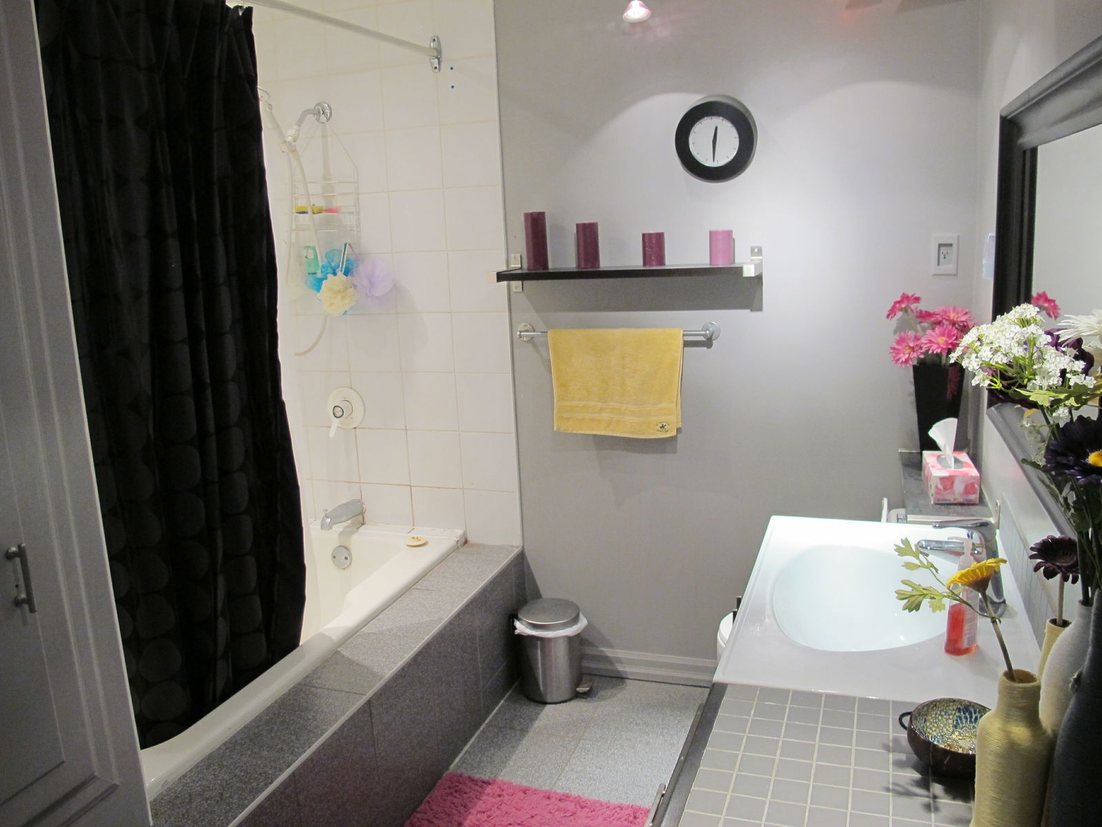 Colocatie Montréal 73050