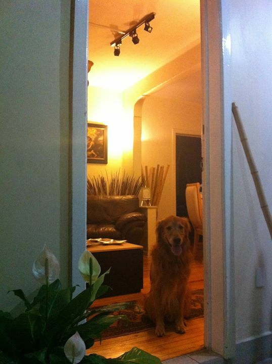 Colocatie Paris 142140