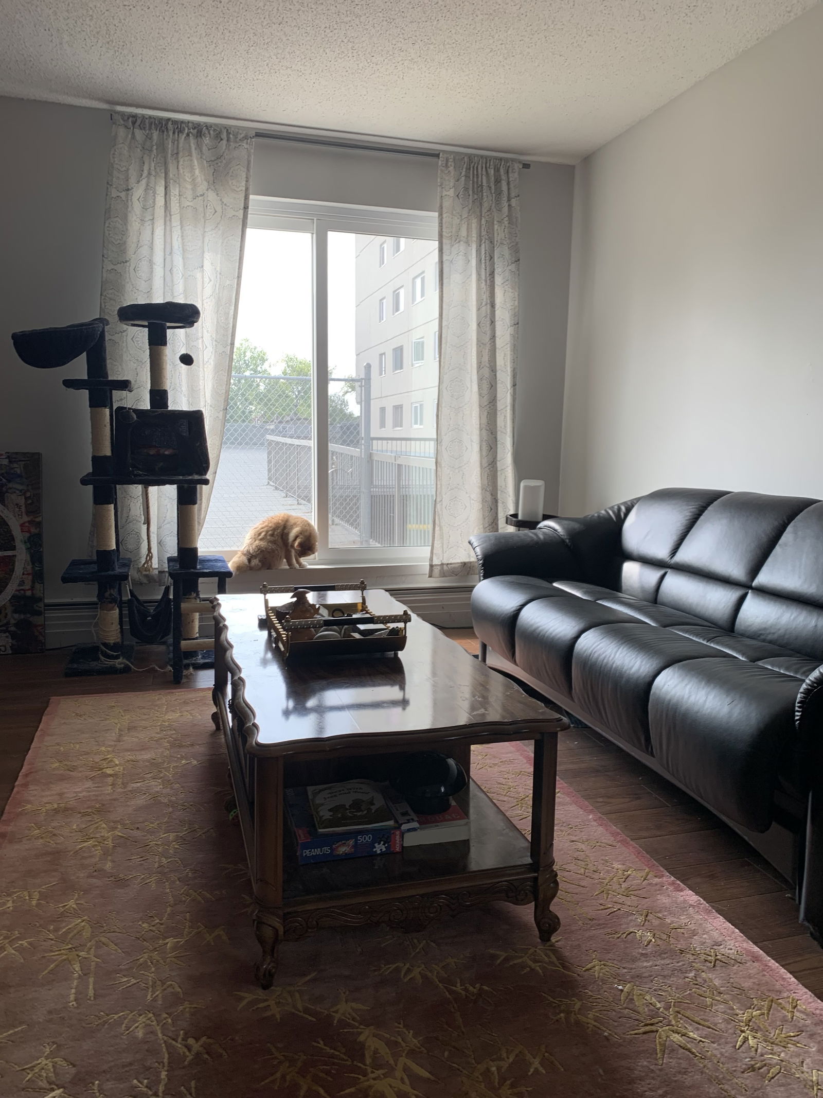 Gastgezin Calgary 430449