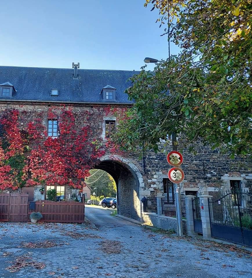 Kotimajoitus Aiseau-Presles 265567