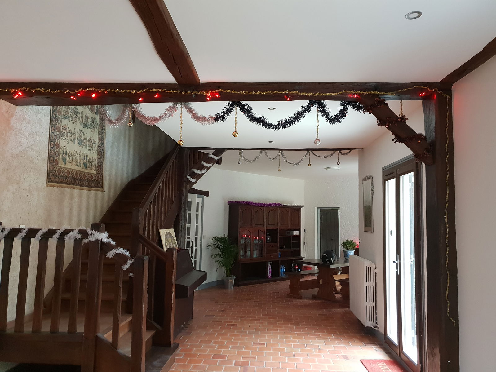 Kolokasie Le Vésinet 165048