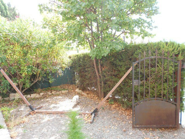 Kolokasie Maussane-les-Alpilles 43398