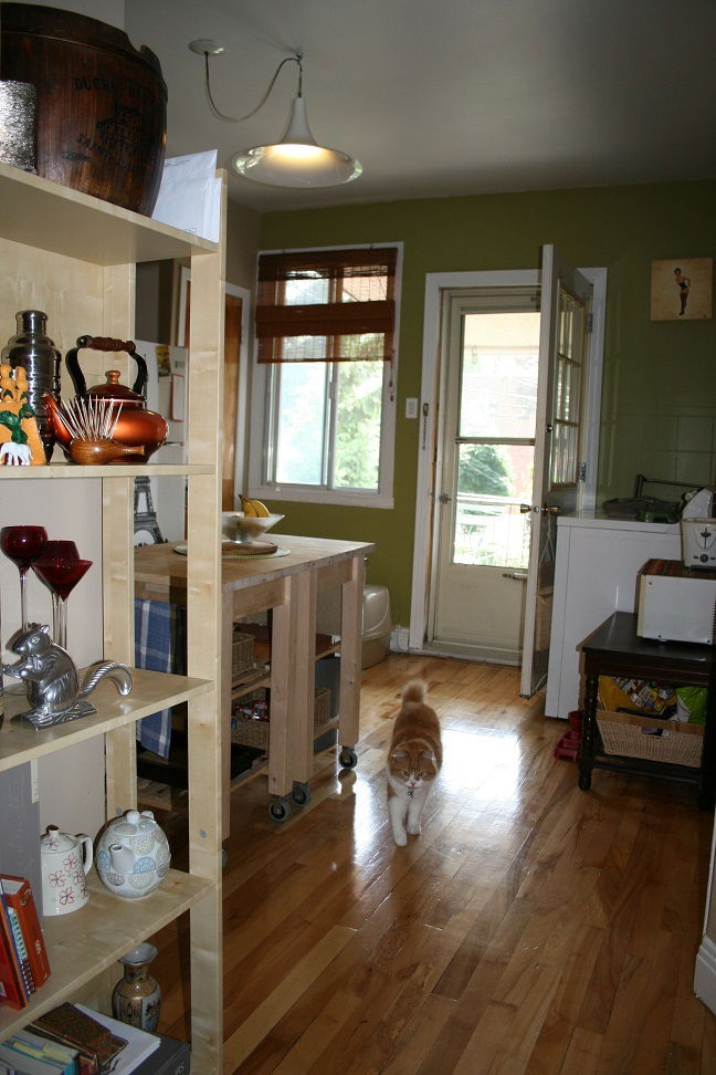 Kolokasie Montréal 72176