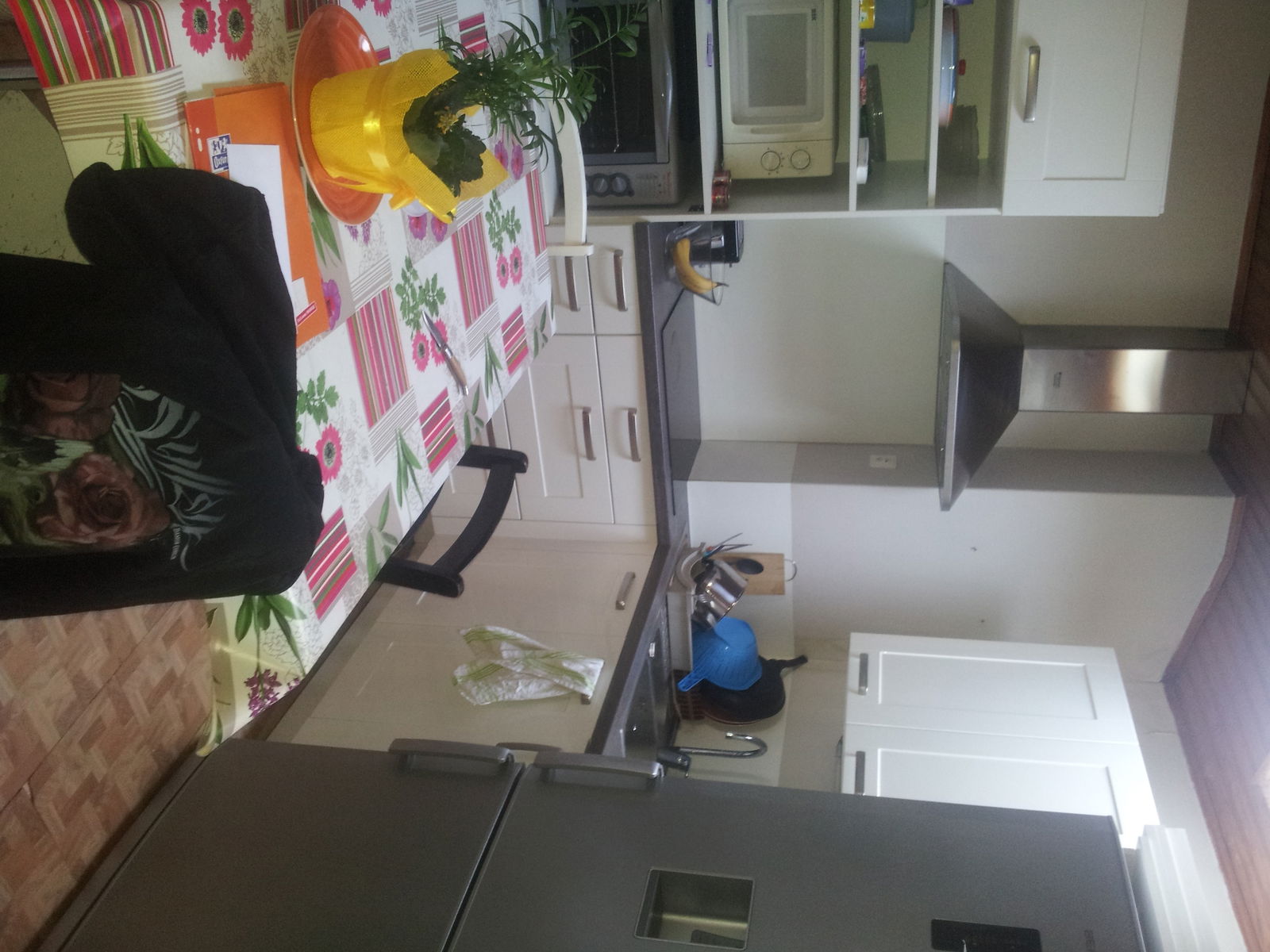 Kolokasie Marmande 101148