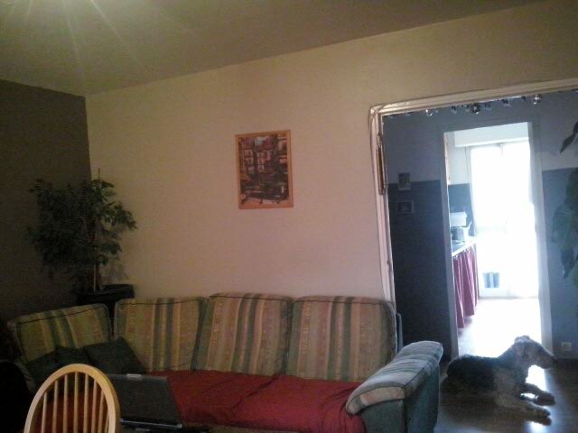 Kolokasie Toulon 123357