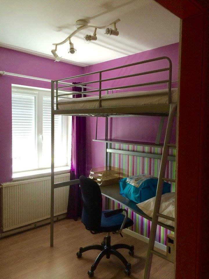 Kolokasie Strasbourg 171880