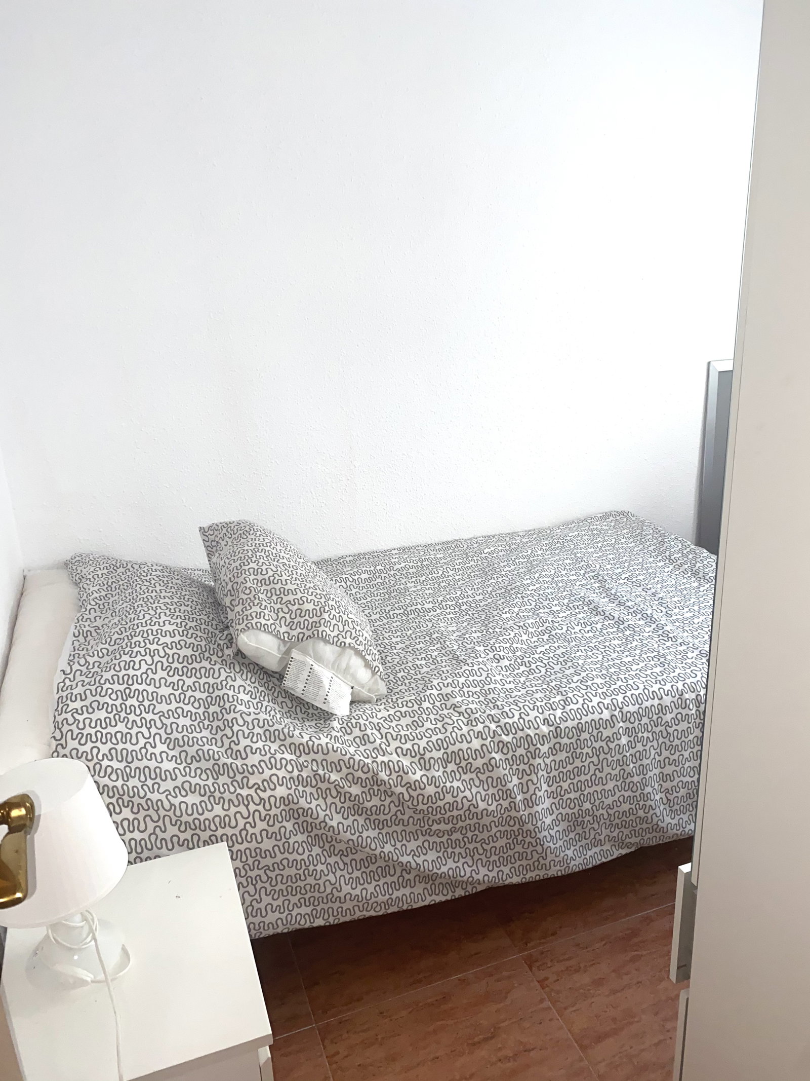 Kolokasie Montcada 249713