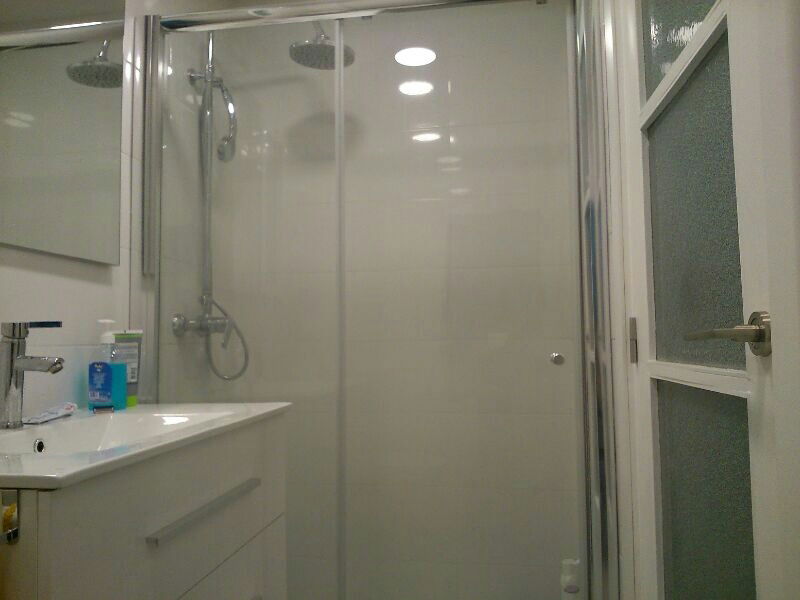 Kolokasie València 118656