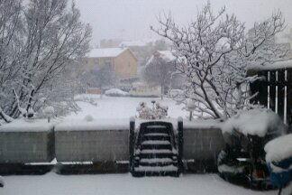 Kolokasie Fontenay sous Bois 1632