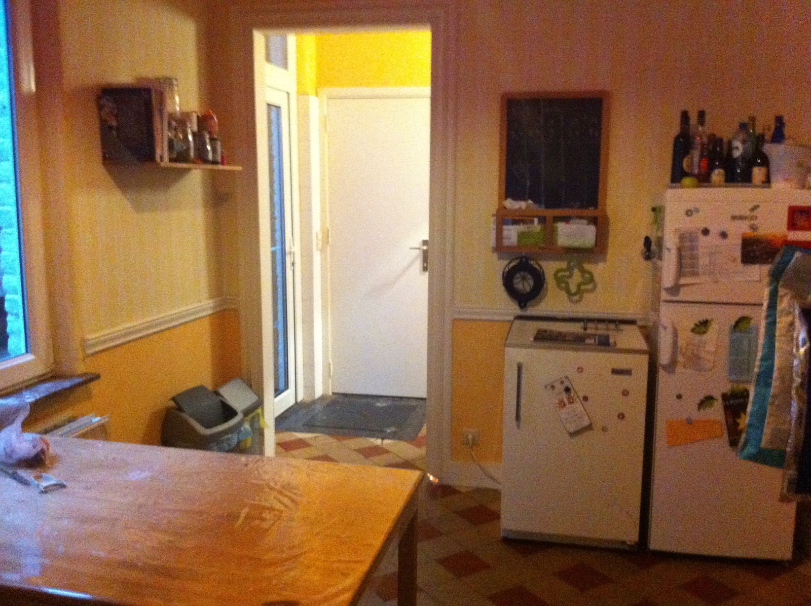 Kolokasie Liège 114671