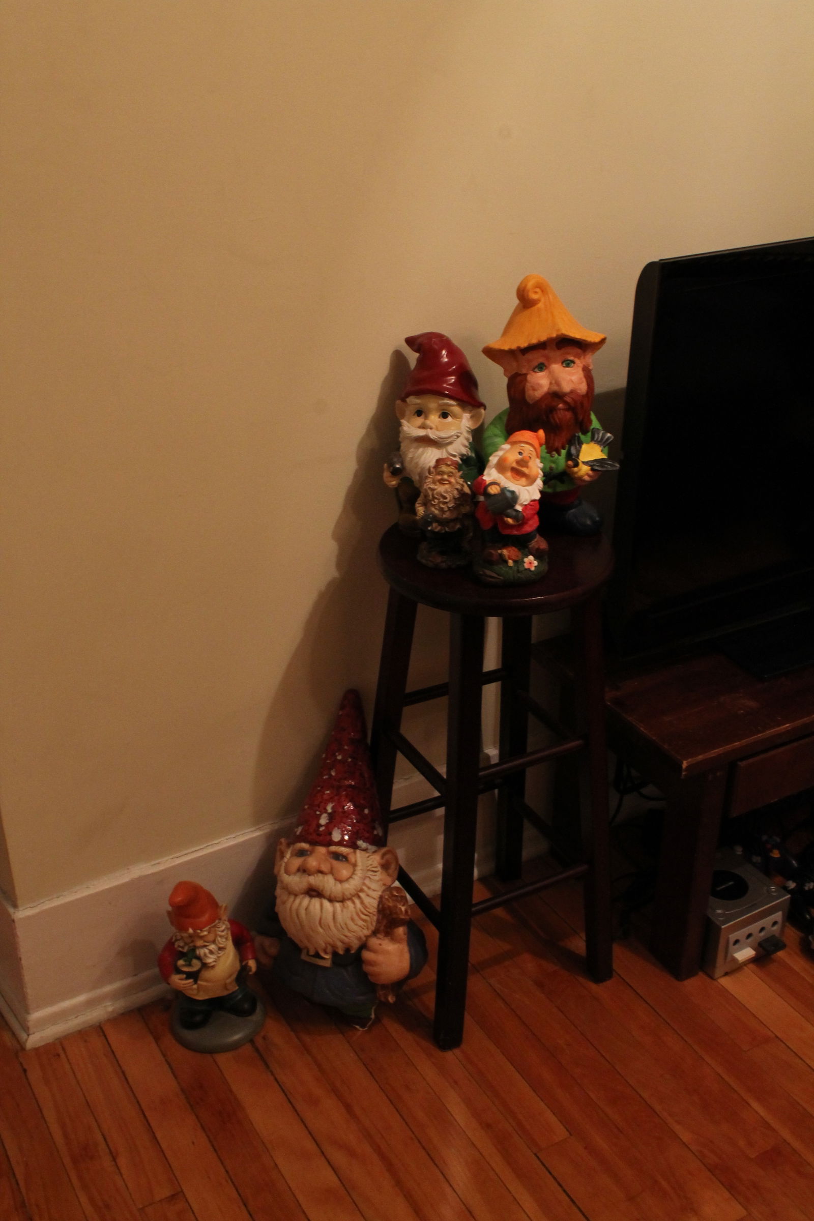 Kolokasie Montréal 120549