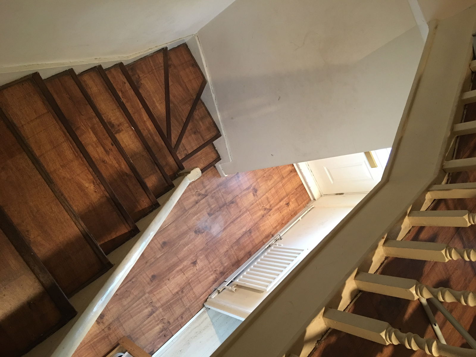 Kolokasie London 160172