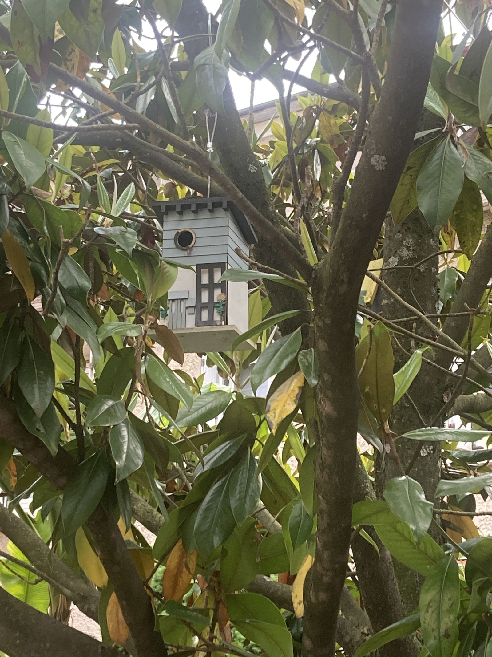 Hjemmeophold Oullins 256758