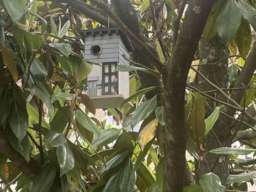 Chambre Chez L'habitant Oullins 256758-7