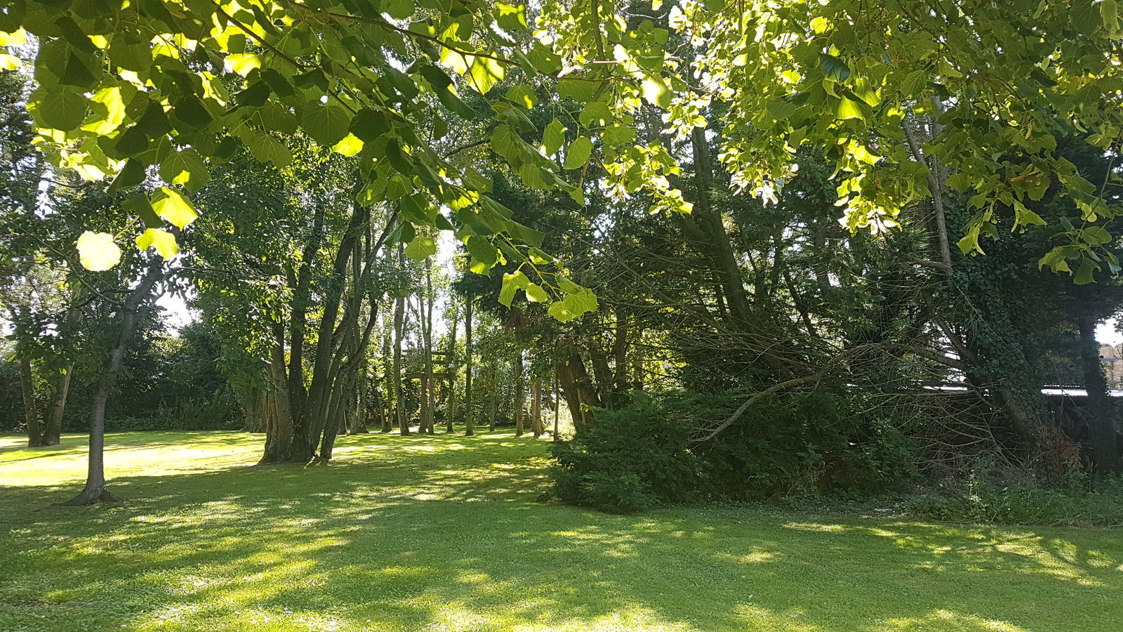 Homestay Rang-du-Fliers 261299