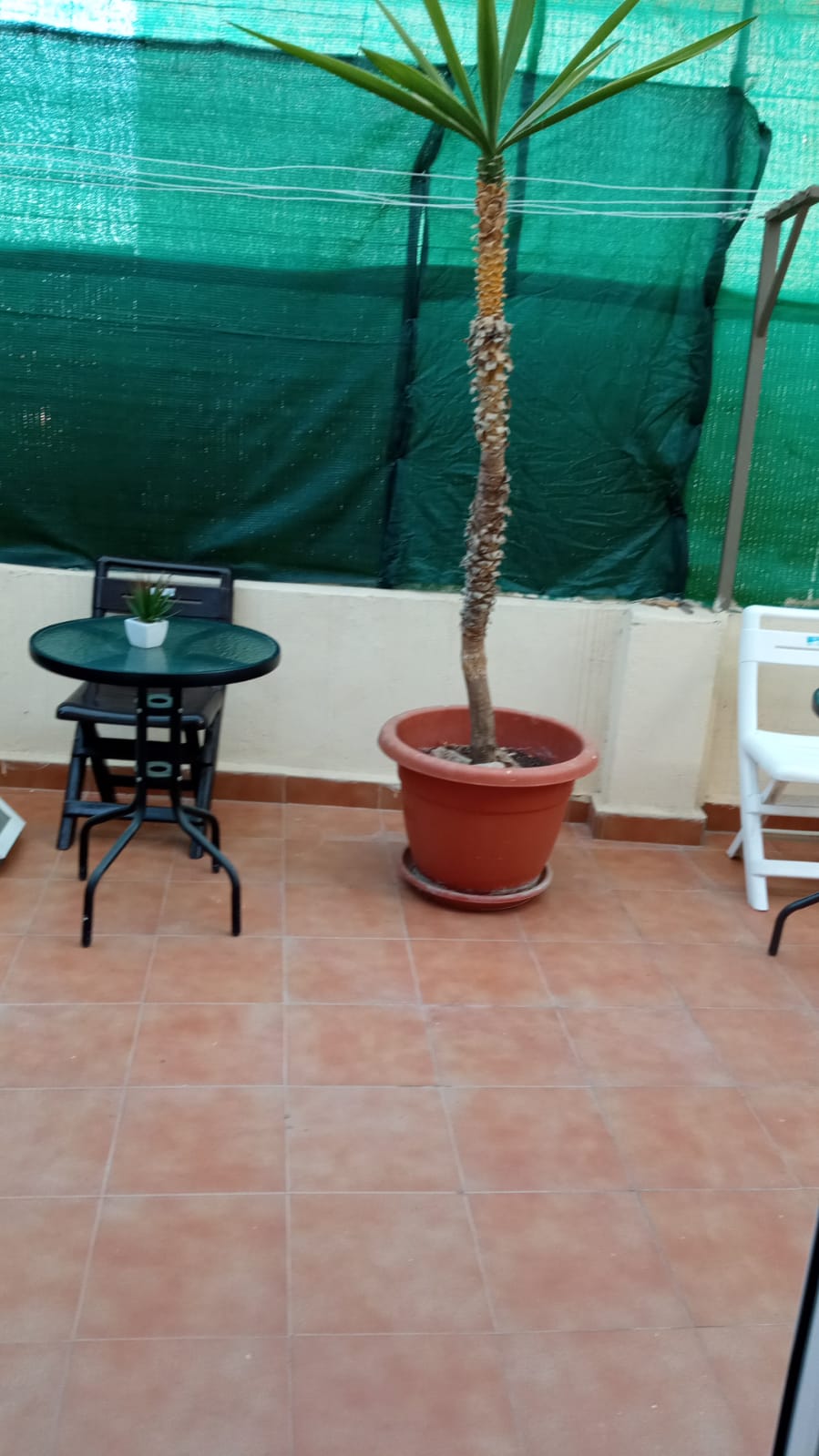 Unabhängiges Studio Málaga 263224