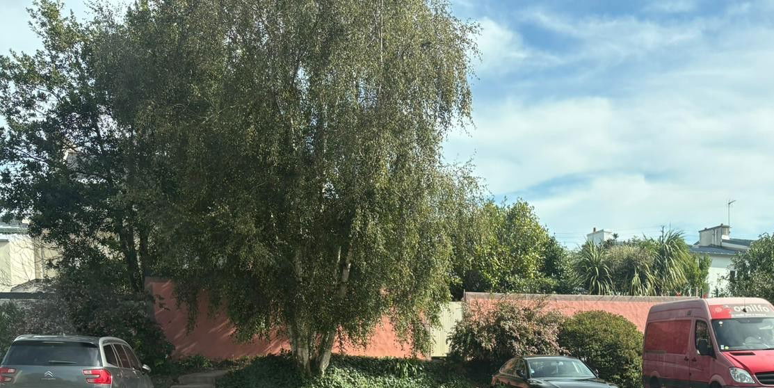 Hospedagem Em Casa De Família Brest 170183