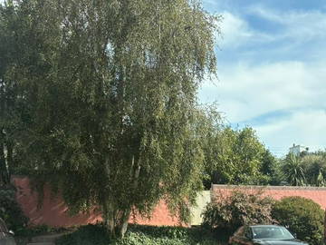 Chambre Chez L'habitant Brest 170183-12