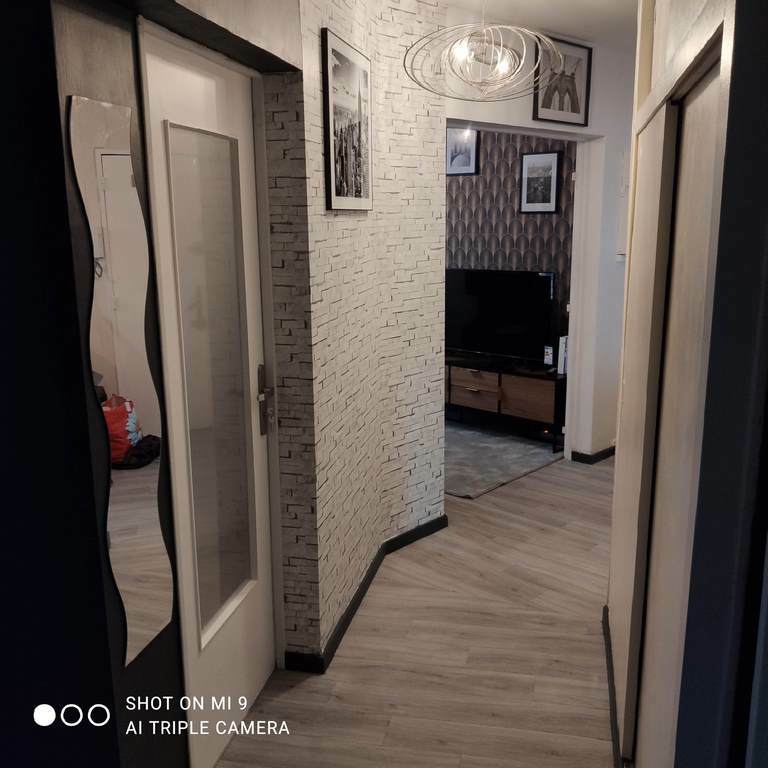Colocation Orléans 255882
