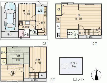 Kolokasie Osaka 534686