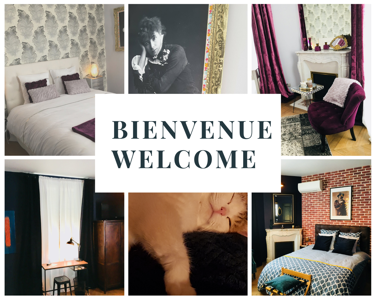 Homestay Traînel 230397