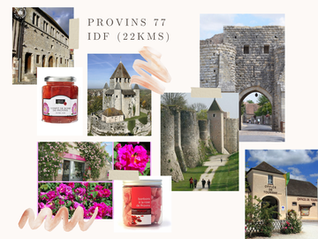 Chambre Chez L'habitant Traînel 230397-8