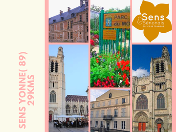 Chambre Chez L'habitant Traînel 230397-9