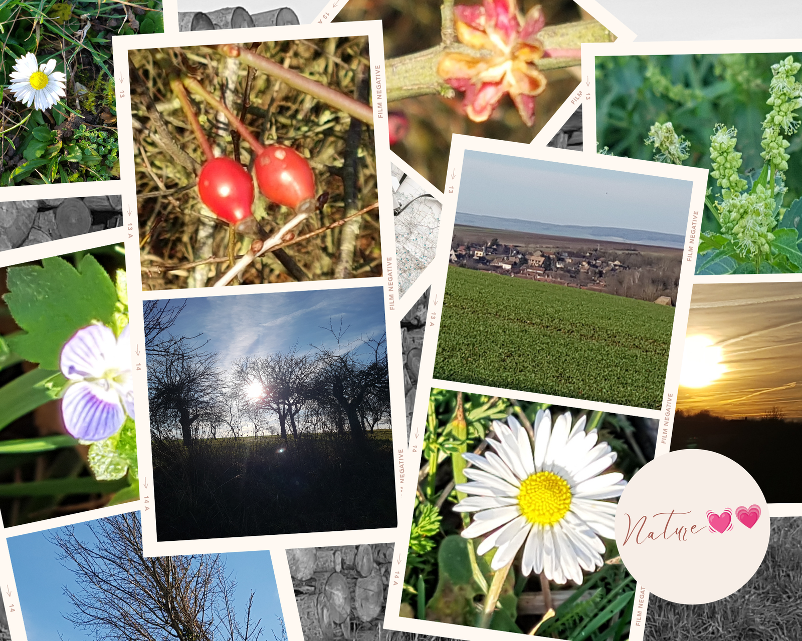 Homestay Traînel 230397