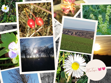 Chambre Chez L'habitant Traînel 230397-11