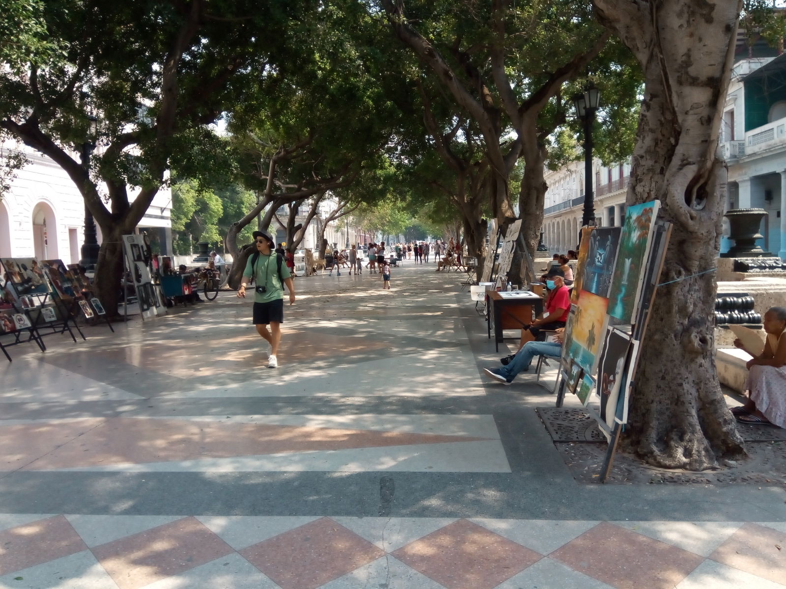 Famiglia La Habana 276695