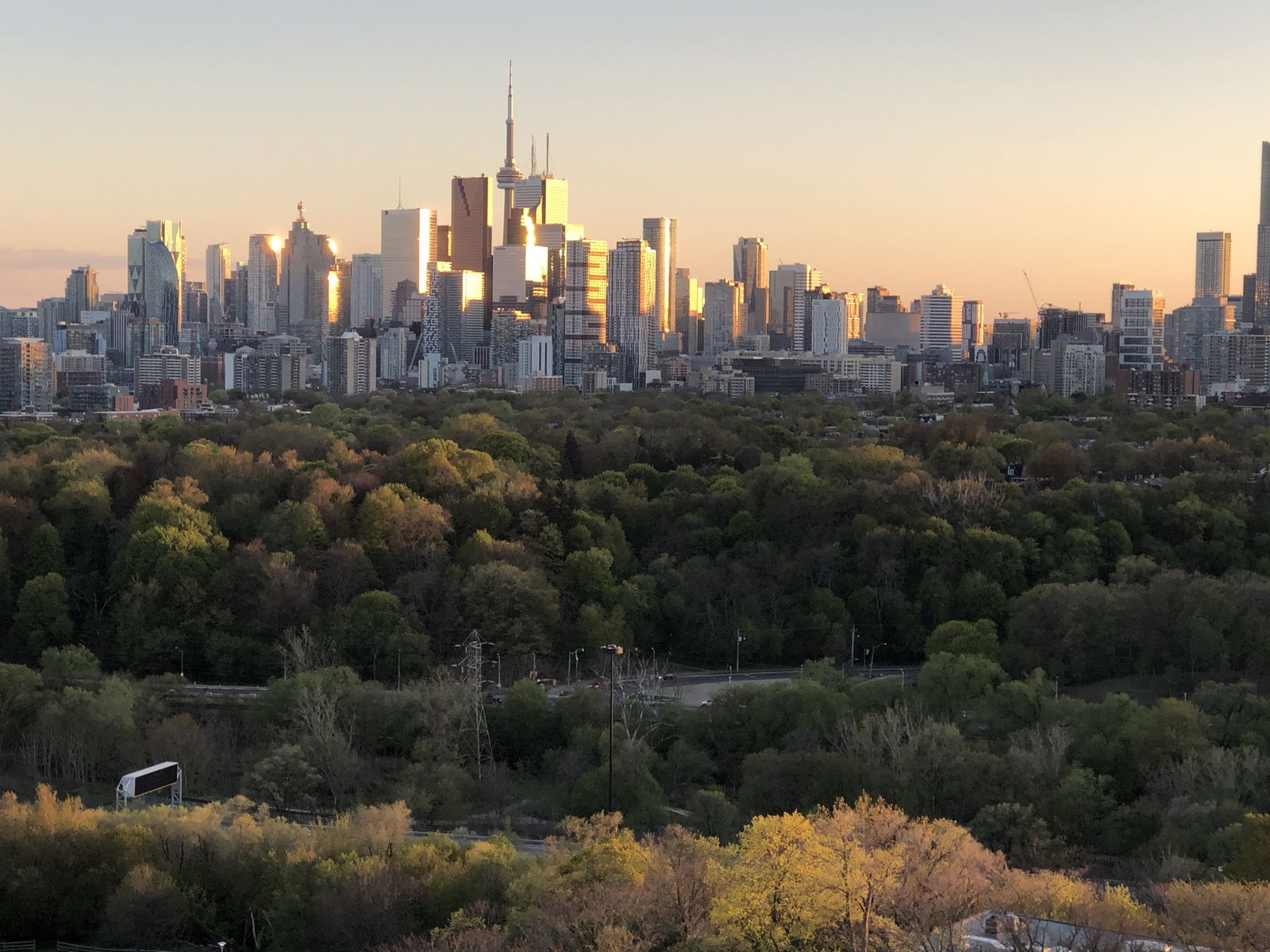 Famiglia Toronto 256599