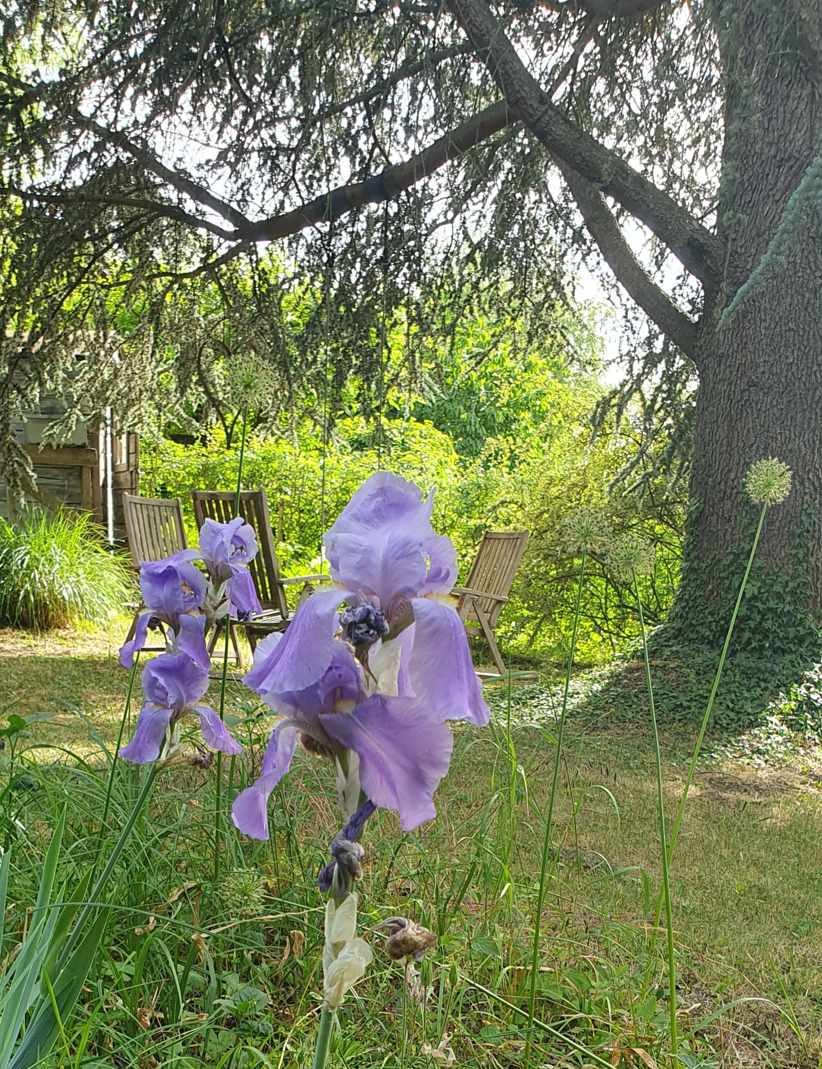 Homestay Cheyres-Châbles 672153