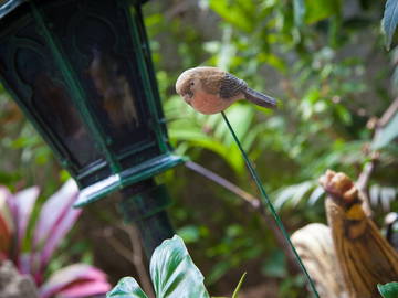Chambre Chez L'habitant Trinidad 187278-7