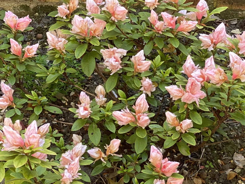 Entire Home Gennevilliers 246240-5