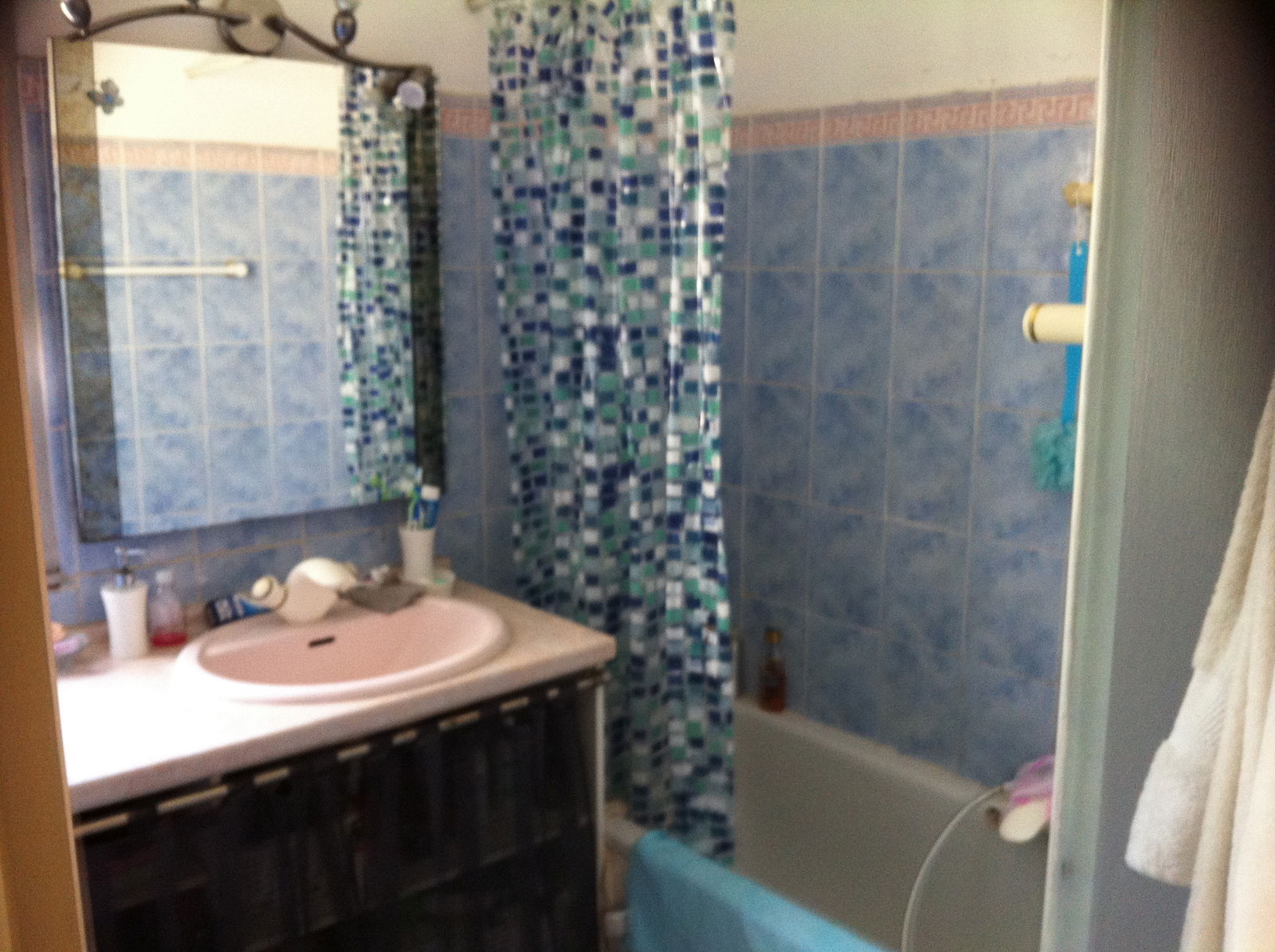 Kolokasie Le Cannet 126741