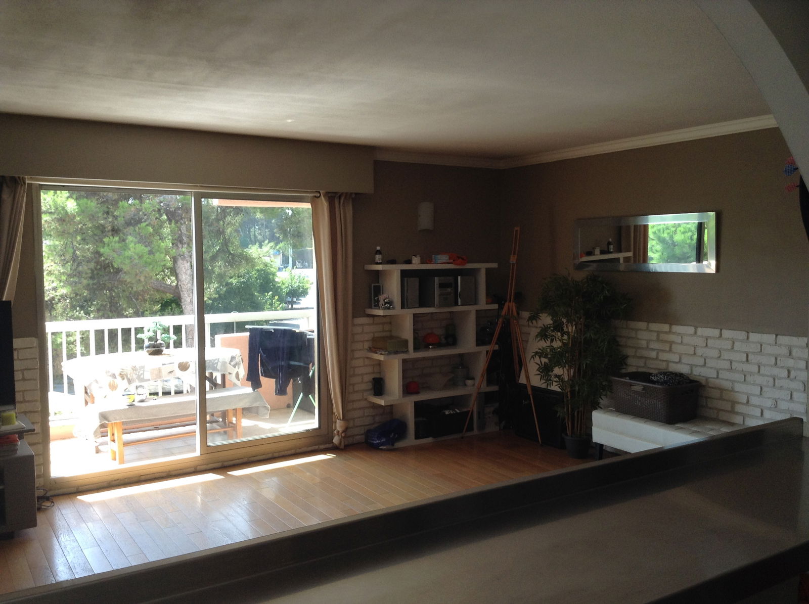 Kolokasie Le Cannet 126741