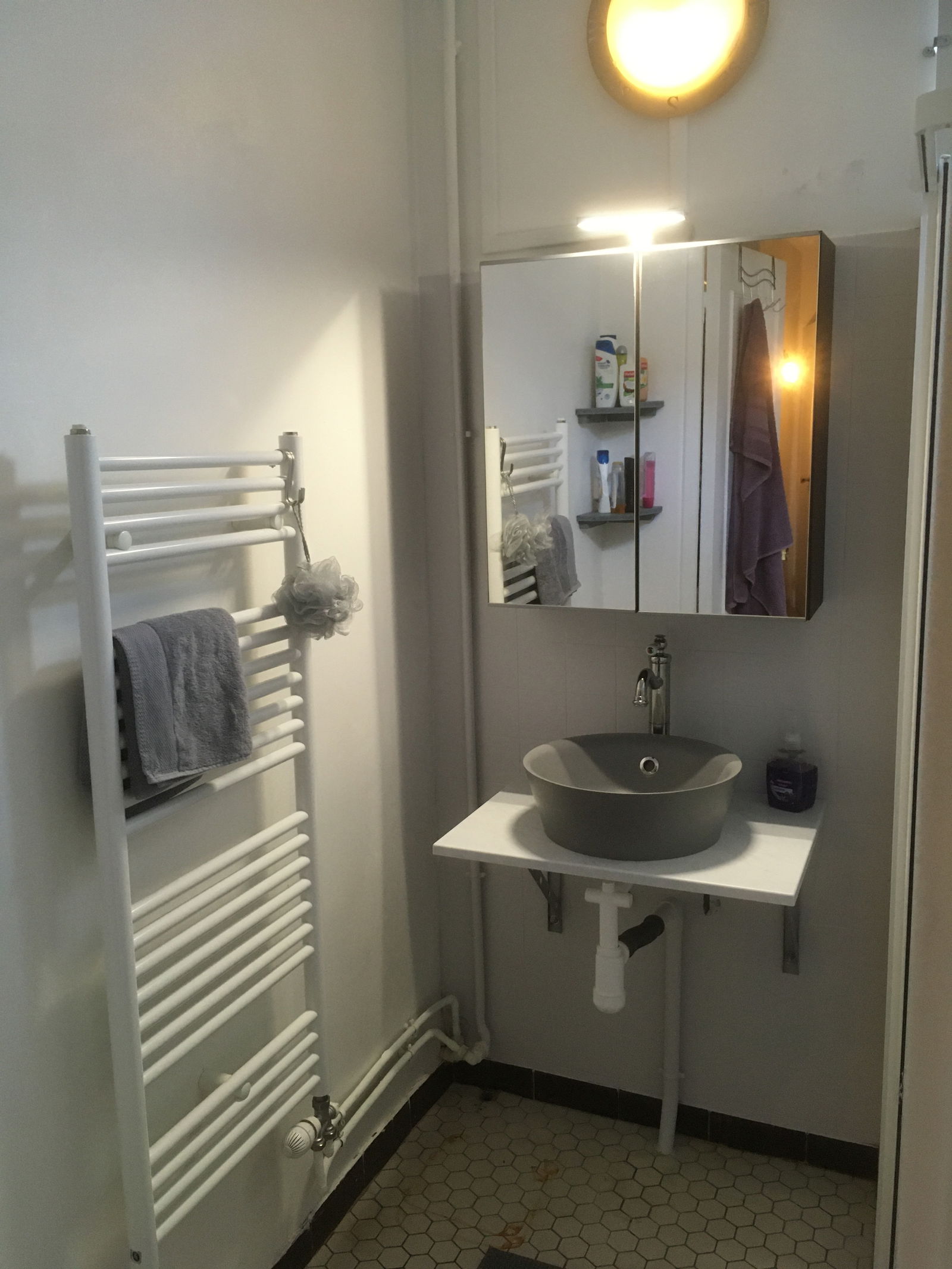 Kolokation Ozoir-la-Ferrière 256880