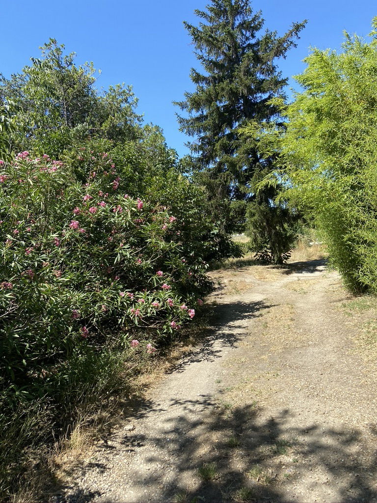 Estudio Independiente Nîmes 238297