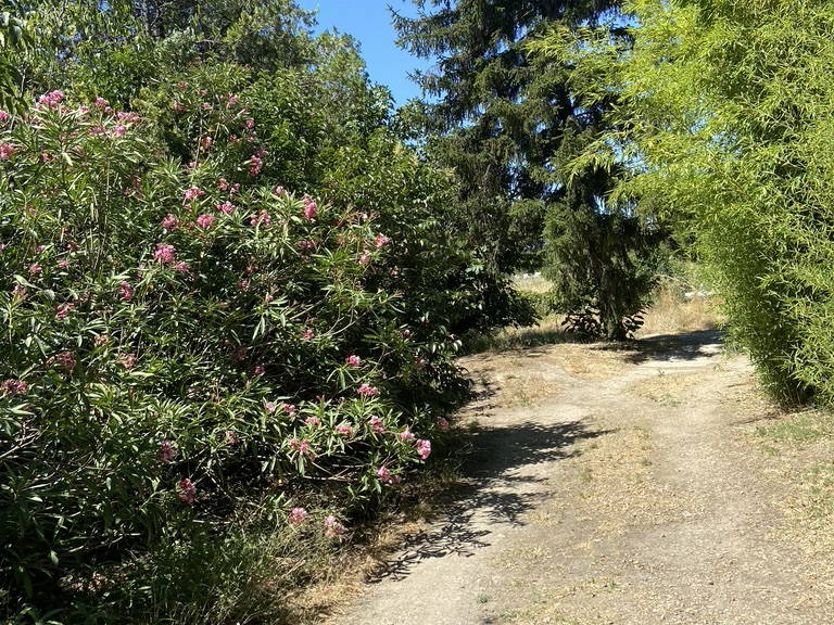 Gehele Woning Nîmes 238297-3