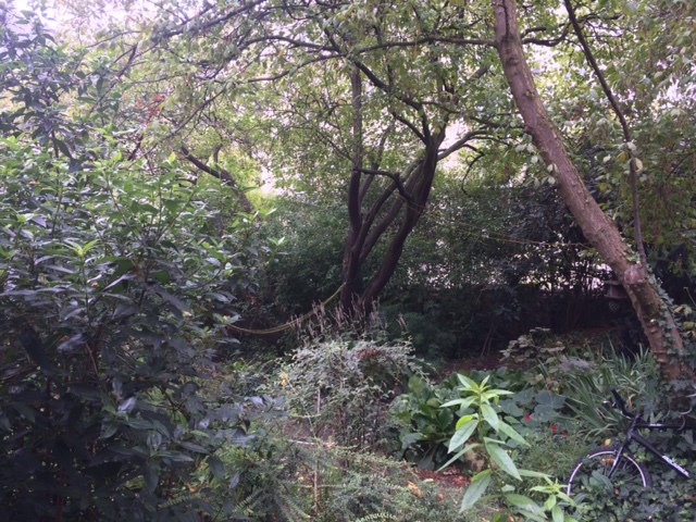 Famiglia Saint-Mandé 128595