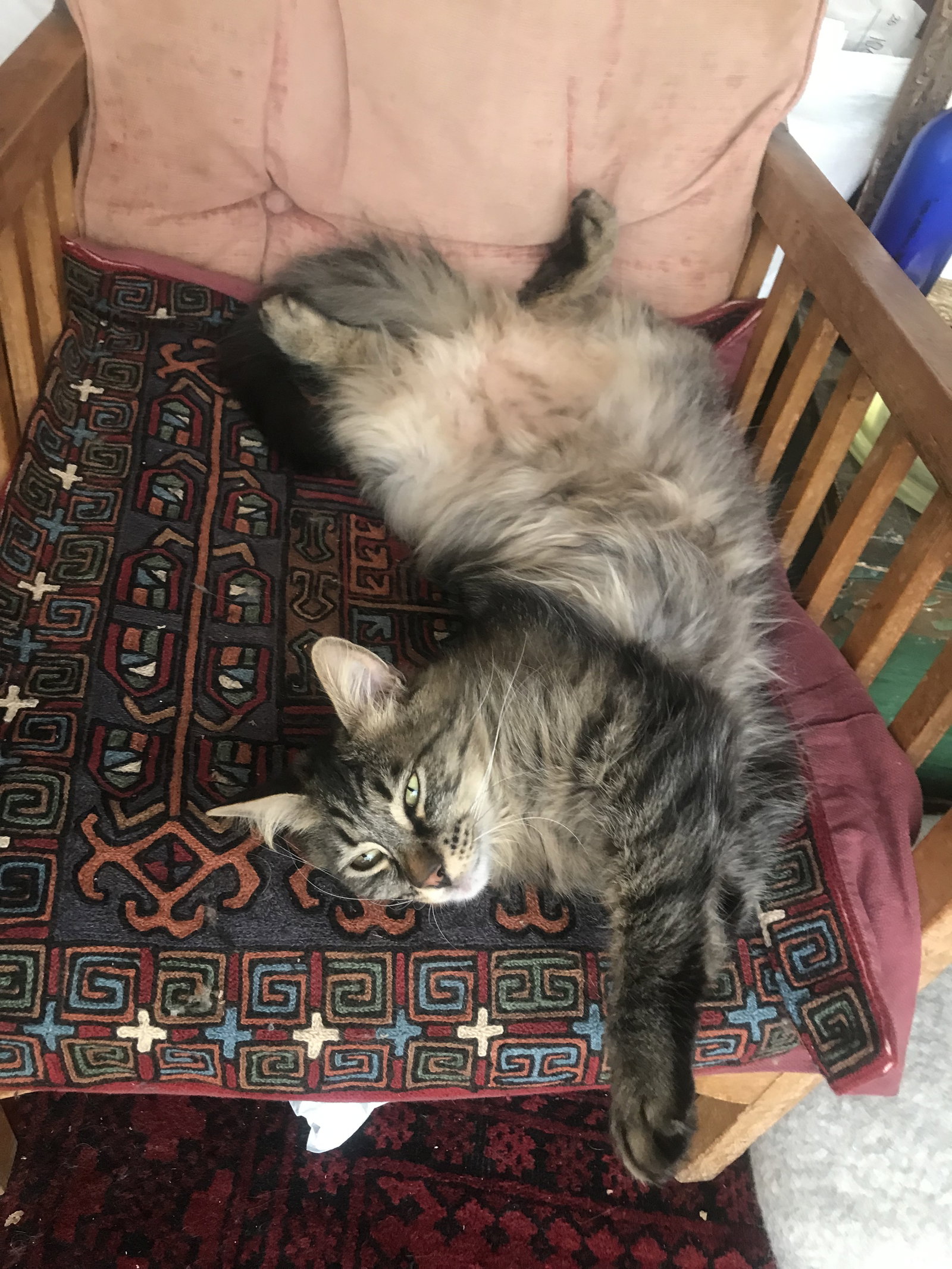 Famiglia Saint-Mandé 128595