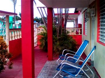 Roomlala | Palm Trees House