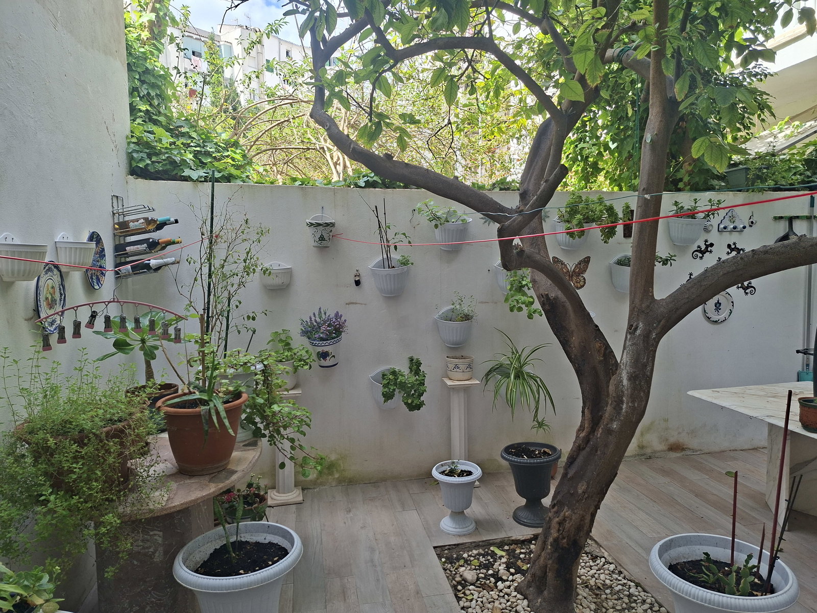Chambre Chez L'habitant Palma 665476