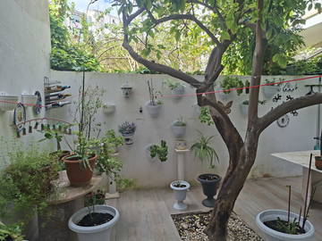 Chambre chez l'habitant à louer à Palma - autre pièce-5