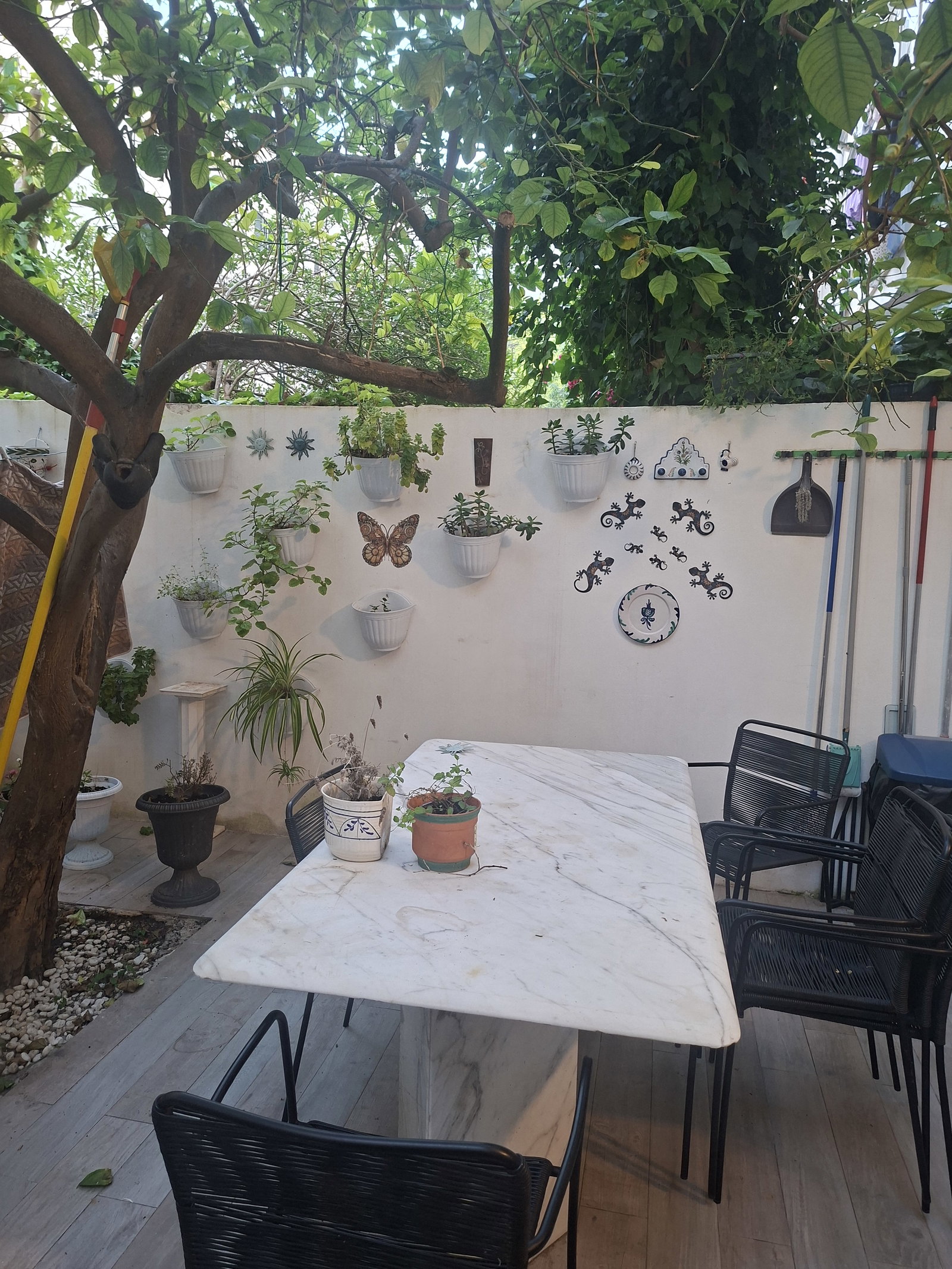 Homestay Palma 665476
