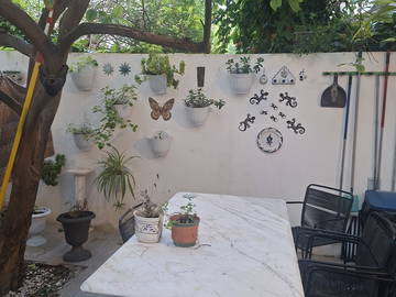 Homestay à louer à Palma - garden-7