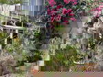 Studio À Louer Montpellier 577601